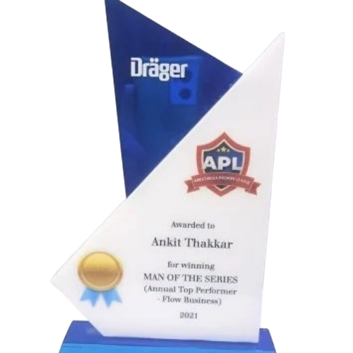 Acrylic Creative Trophy 