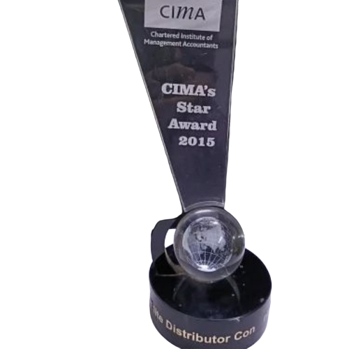 Acrylic Globe Trophy 