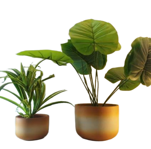 Terracotta Painted Pots Set Of 2 - Design Type: Round