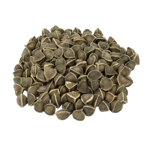 Black Natural Moringa Seeds - Black Bag, Organic, A Grade, 99.9% Purity, Edible, 12 Months Shelf Life