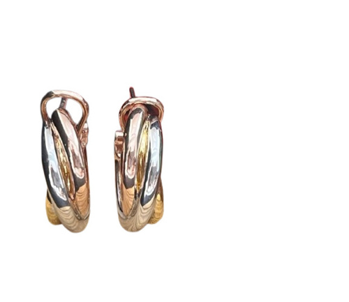 Gold Earring