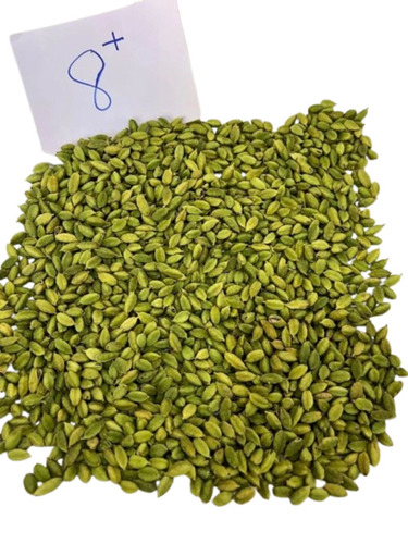 Green Cardamom - Grade: 8