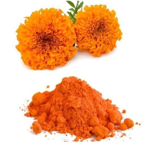 Marigold Extract