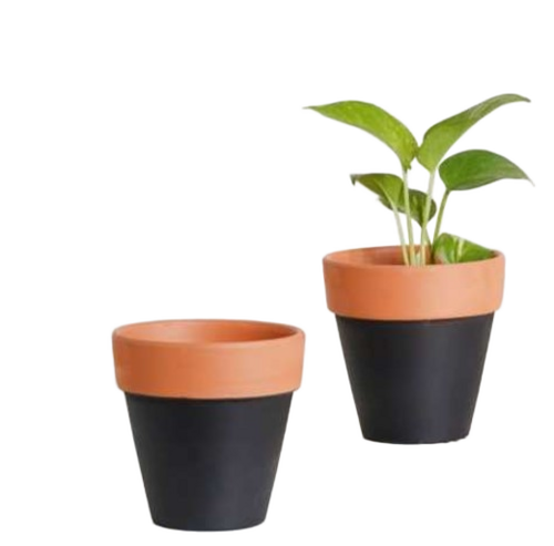 Terracotta Pots