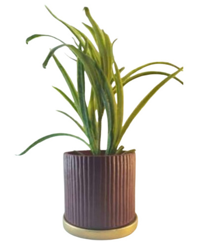 Round Terracotta Painted Pot With Tray - Capacity: 2 Kg