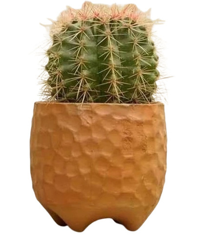 Terracotta Colored Pot - Color: Orange