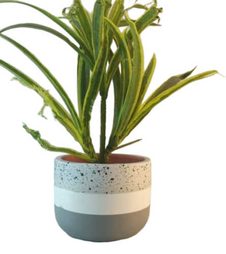 Terracotta Mini Pot - Color: Multi Color