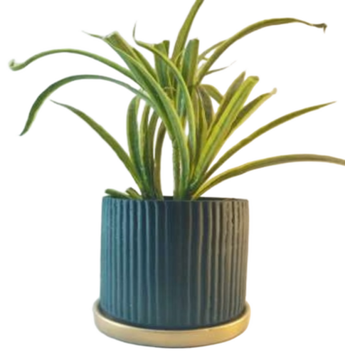 Terracotta Pot With Tray - Capacity: 2 Kg