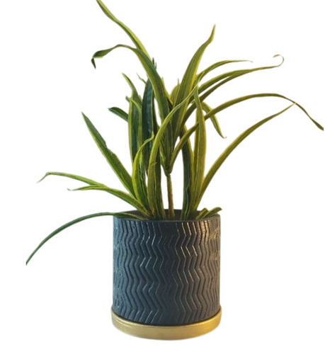 Multiple Color Terracotta Pot With Tray - Capacity: 2 Kg