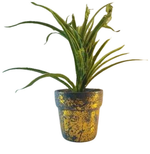 Multicolor Plain Terracotta Hand Painted Pot - Capacity: 1.5 Kg
