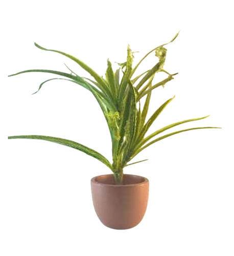 Dark Red Terracotta Hand Painted Pot - Capacity: 2 Kg