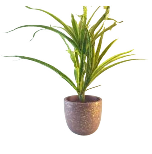 Decorative Hand Painted Terracotta Pot - Capacity: 5 Kg