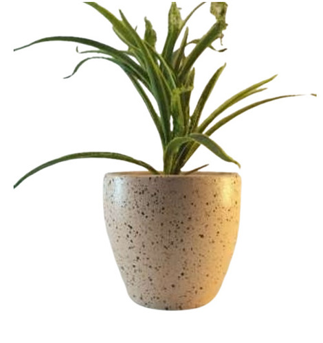 Terracotta Flower Pot