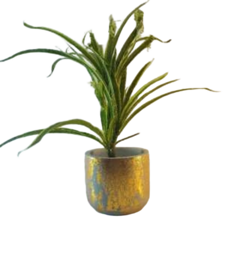 Terracotta Products