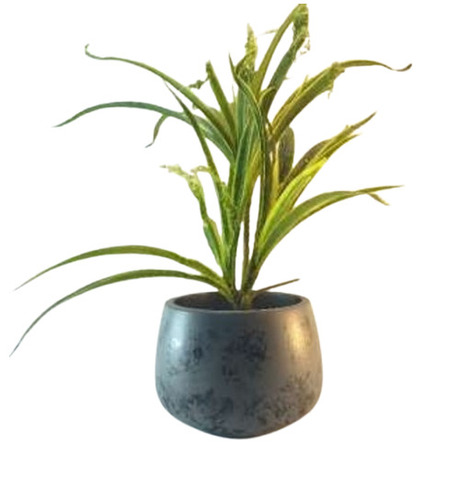 Plain Black Terracotta Decorative Pot - Capacity: 5 Kg