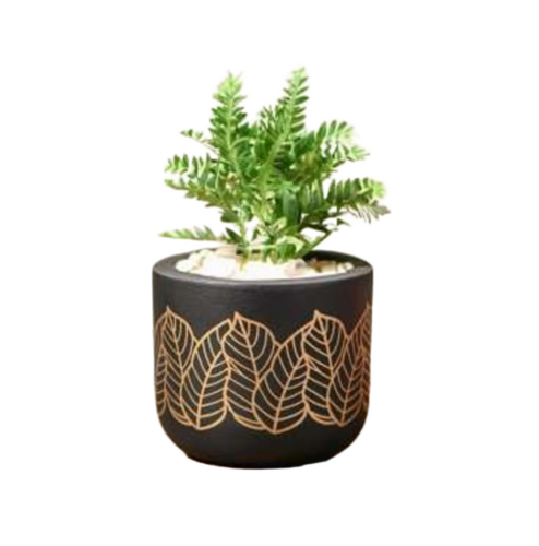 Round Small Terracotta Pot - Capacity: 2 Kg
