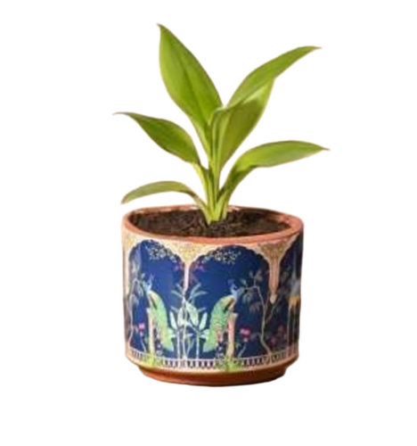 Small Terracotta Pot - Capacity: 2 Kg