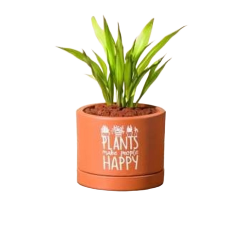 Terracotta Small Pot - Natural Terracotta, Deep Forest Teal, Sandy White Speckled Finish, Eco Friendly, Indoor Outdoor Use