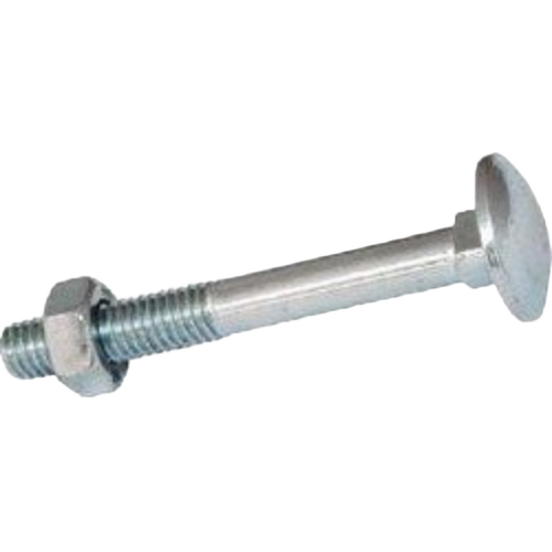 Carriage Bolt 