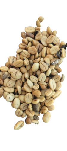 Coffee Bean