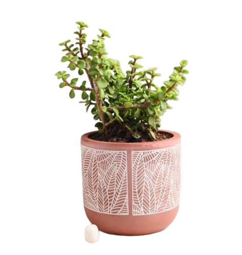 Round Terracotta Small Pot - Capacity: 2 Kg