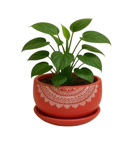 Round Terracotta Small Pot With Tray - Capacity: 2 Kg