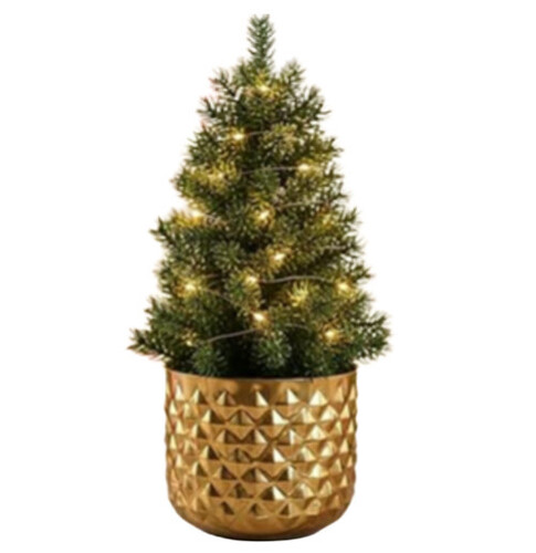 Gold Plating Round Metal Iron Planter - Dimensions: 16X16X14  Centimeter (Cm)