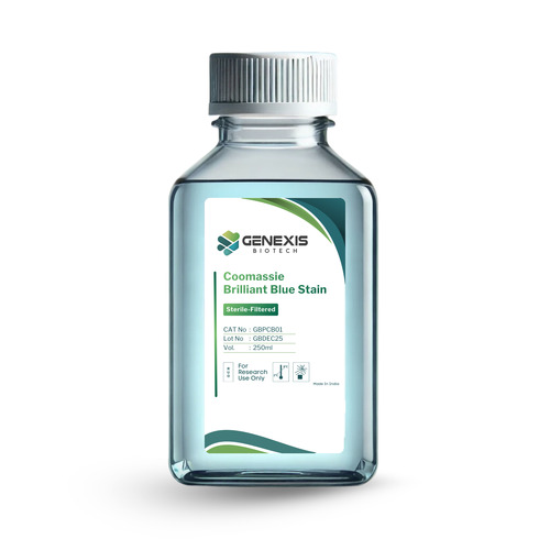 Coomassie Brilliant Blue Stain 250ml - Liquid Protein Stain, 99% Purity | Pharma Lab Usage, Colorless Solution