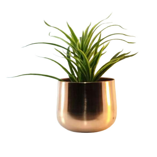 Flower Pots