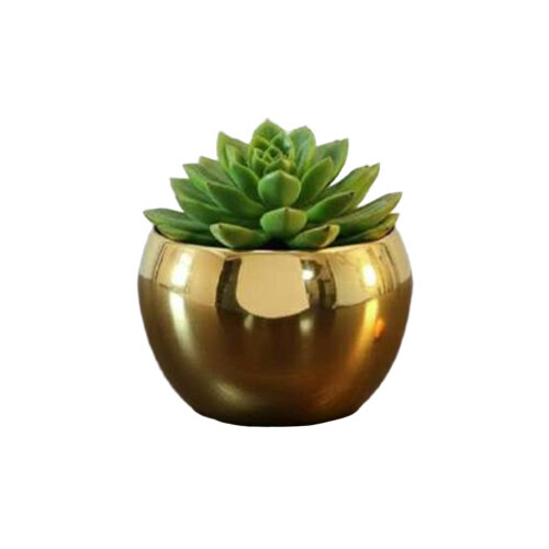 Metal Flower Pot With Plating Work - Bottom Diameter: 10  Centimeter (cm)