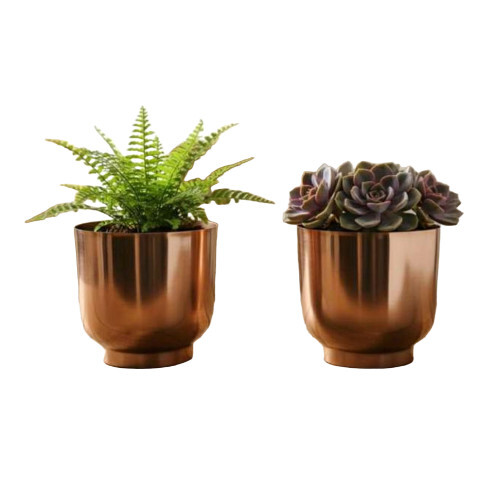 Round Metal Small Flower Pot In Plating - Bottom Diameter: 23 Centimeter (Cm)