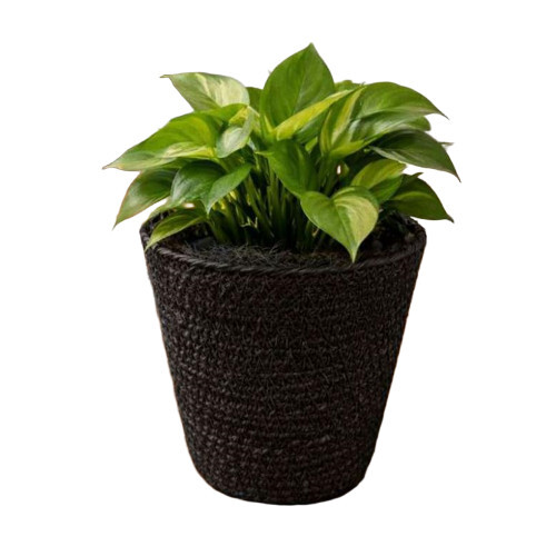 Planter