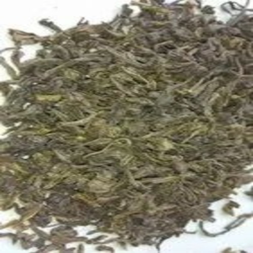 Green Tea - Assam Leaf Packet, Non-Bitter Flavor | Green Color, Liquid Extract, Grade A, Fresh Leaves, Plain Variety