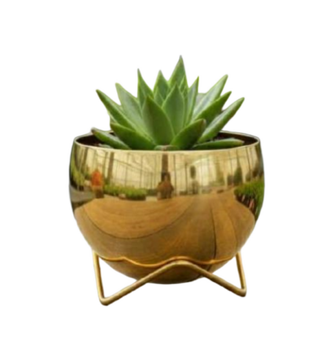 Flower Pot Stand With Plating