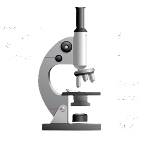 Microscope