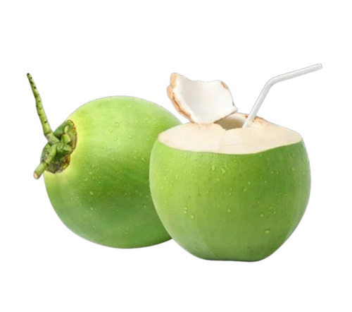 Green Coconut