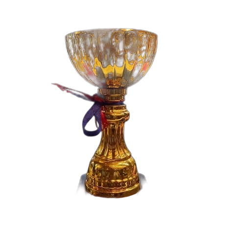 Sports Award Trophy