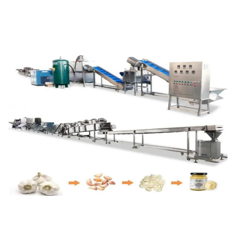 Ginger Garlic Paste Making Plant