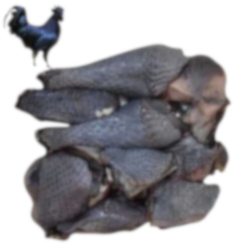 Chicken Kadaknath