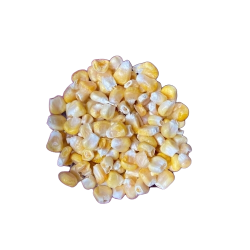 Frozen Food Freeze Dried Sweet Corn