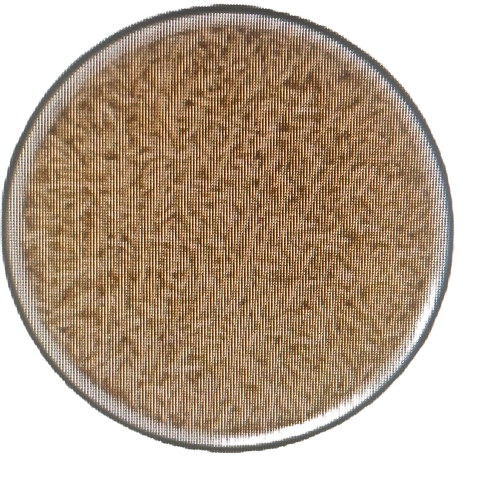 Gluten-Free Broken Basmati Rice - Brown Medium Grain Fresh Style | Soft Fluffy Texture Uniform Size