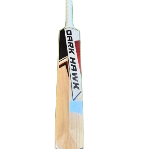 Willow Cricket Bat
