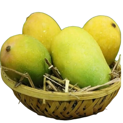 Naziveedu Chinna Rasalu Mango - Yellow 25 Kilograms Oval Shape | Sweet Taste Fresh Whole Fruit Shelf Life 7-10 Years