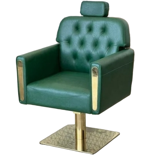 Salon Hydraulic Chair