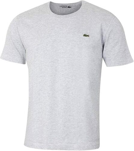 Gray T Shirt