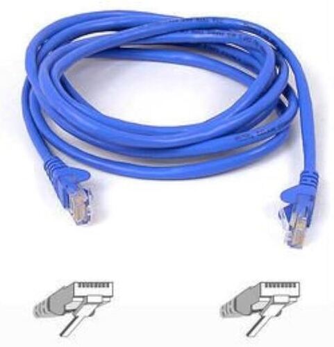 Blue Ethernet Cable