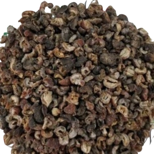 Amla Seedless Cultivated 