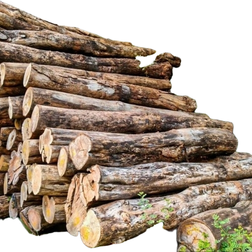 Tinsa Wood Logs