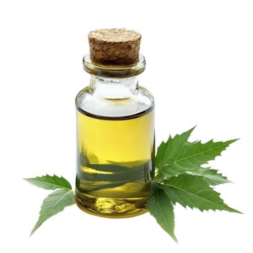 Neem Oil