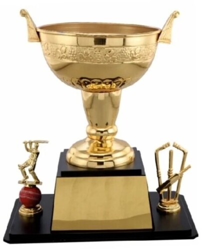 Metal Cup Award